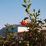 Apartman Sevoula