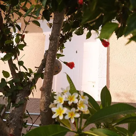 Appartement Sevoula Kéfalos