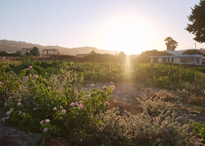 Sevoula 公寓 克法洛斯